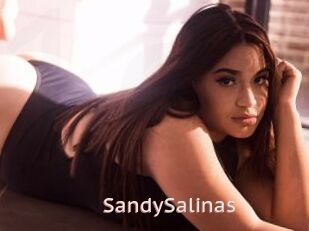 SandySalinas