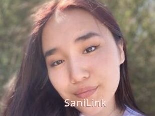 SaniLink