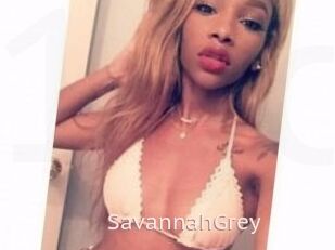 Savannah_Grey