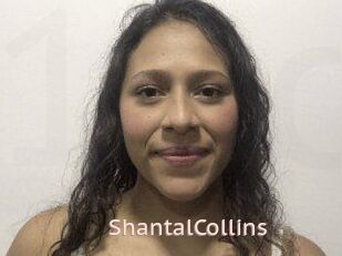 ShantalCollins
