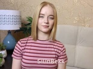 SilinBekk