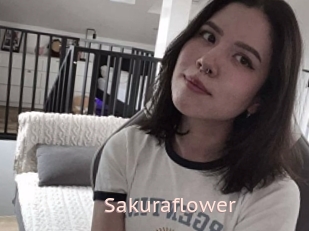 Sakuraflower