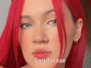 Sandycase