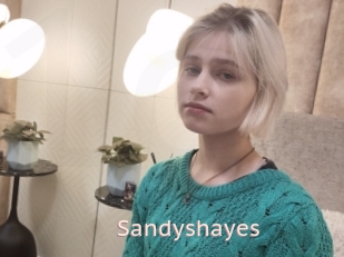 Sandyshayes