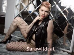 Sarawildcat
