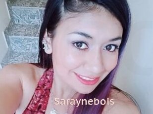 Saraynebois