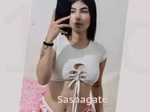 Sashagate