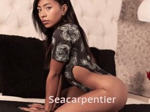 Seacarpentier