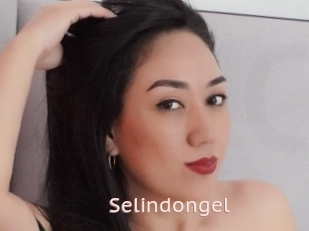 Selindongel