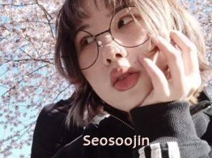 Seosoojin