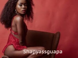 Shapyassguapa