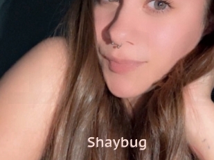 Shaybug