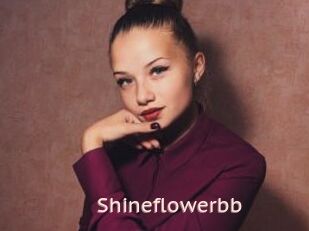 Shineflowerbb