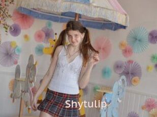 Shytulip