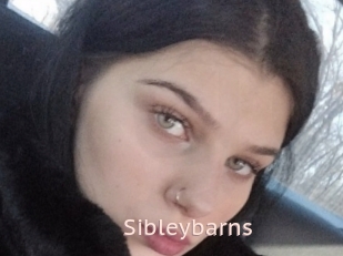 Sibleybarns