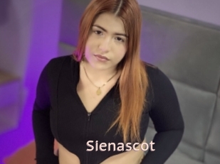 Sienascot