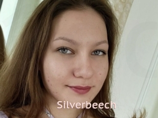 Silverbeech