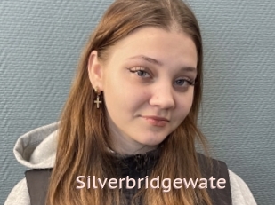 Silverbridgewate