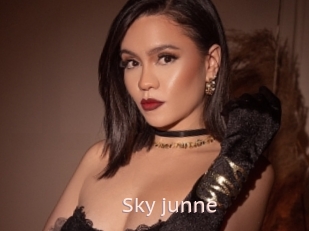 Sky_junne