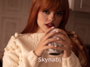 Skynabi