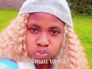 Small_tits018