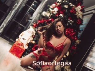 Sofiaortegaa