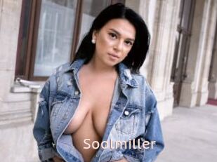 Soolmiller