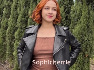 Sophicherrie