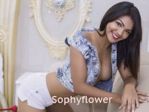 Sophyflower