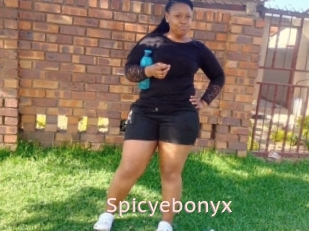 Spicyebonyx