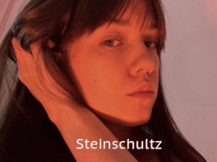 Steinschultz