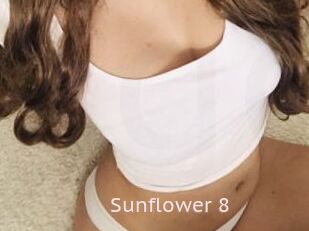 Sunflower_8