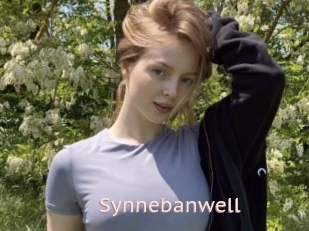 Synnebanwell