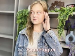 Synnefugler