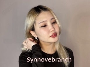 Synnovebranch
