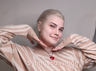 Synnovedavidge