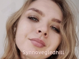 Synnovegledhill