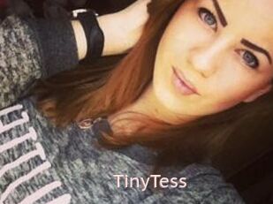 TinyTess