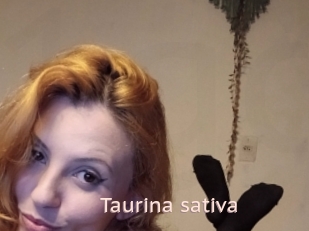 Taurina_sativa