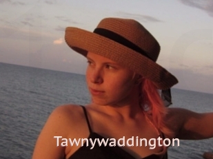 Tawnywaddington
