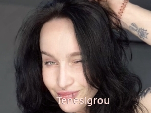 Tenesigrou