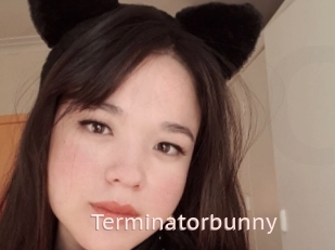 Terminatorbunny