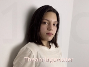 Theabridgewater