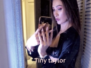 Tiny_taylor