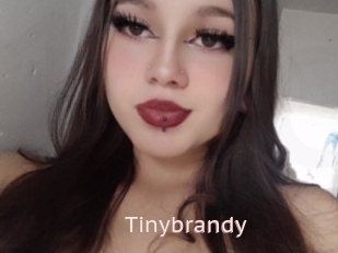 Tinybrandy