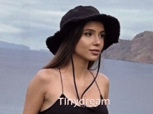 Tinydream