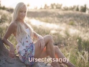 Ursecretsandy