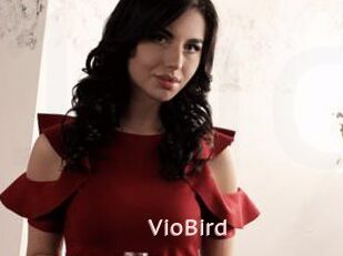 VioBird