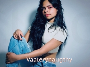 Vaalerynaugthy