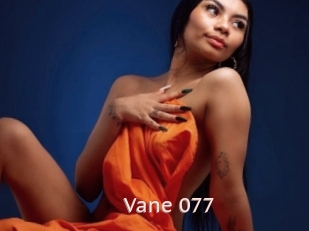 Vane_077